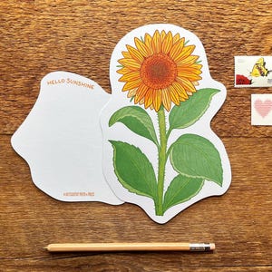 Carte postale tournesol, tournesol, typographie découpée