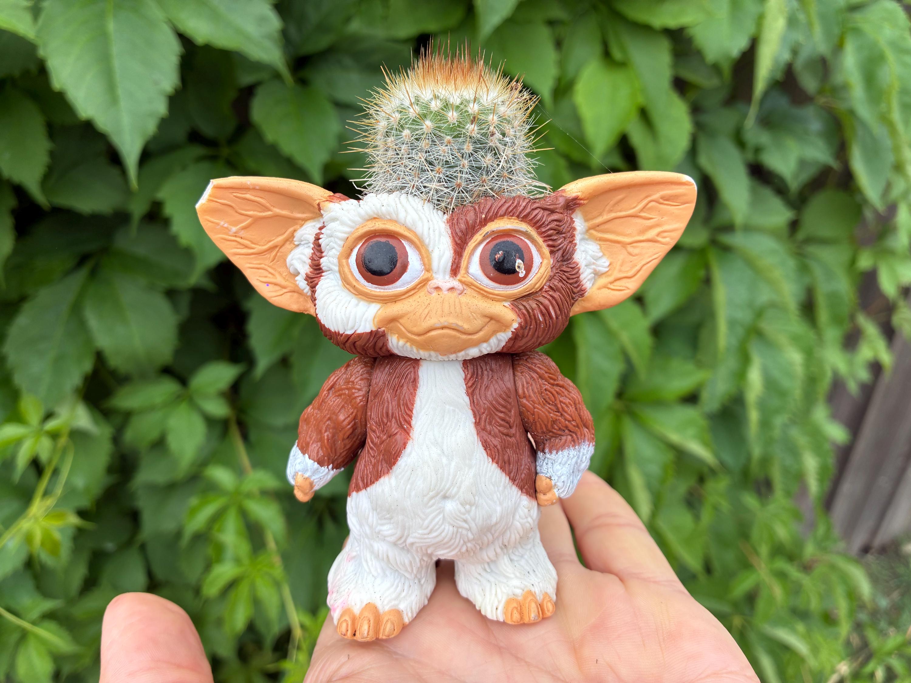Gizmo - Etsy