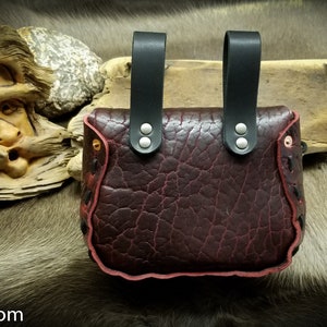 May include: A dark brown leather pouch with a red stitched border and two black leather straps with silver buckles. The pouch is on a brown fur background.