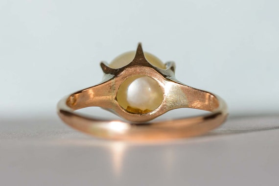 Antique Edwardian 8mm Pearl Ring in 14K Yellow Go… - image 5