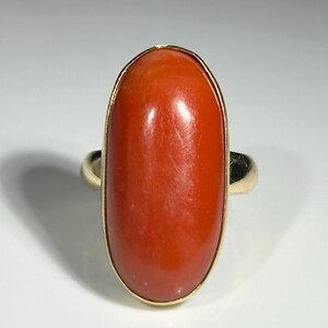 May include: A gold ring featuring a large, oval-shaped, polished coral stone. The coral is a vibrant orange-red color, set in a gold bezel. The ring's band is also gold.