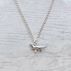 T-Rex Dinosaurier Halskette, Tyrannosaurus Schmuck, Dino Schmuck, Jurassic Halskette, personalisiertes Erstgeschenk für Kinder