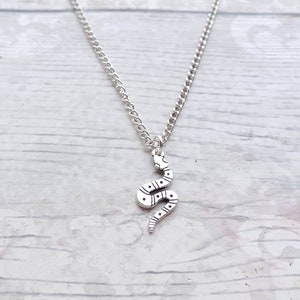 May include: A silver chain necklace with a silver snake pendant. The snake is curled up and has a patterned design.