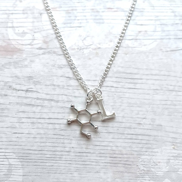 Glucose molecule necklace, sugar necklace, Type 1 diabetes awareness jewellery, science present, geeky gift for scientist, diaversary gift