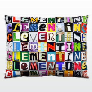 Oreiller personnalisé avec CLEMENTINE dans les photos de lettres de signe; Coussins de canapé personnalisés; Oreillers colorés; Oreiller photo; Oreillers de sofa