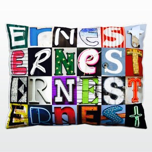 Oreiller personnalisé avec ERNEST dans les photos de lettres de signe; Coussins de canapé personnalisés; Oreillers colorés; Oreiller photo; Oreillers de sofa