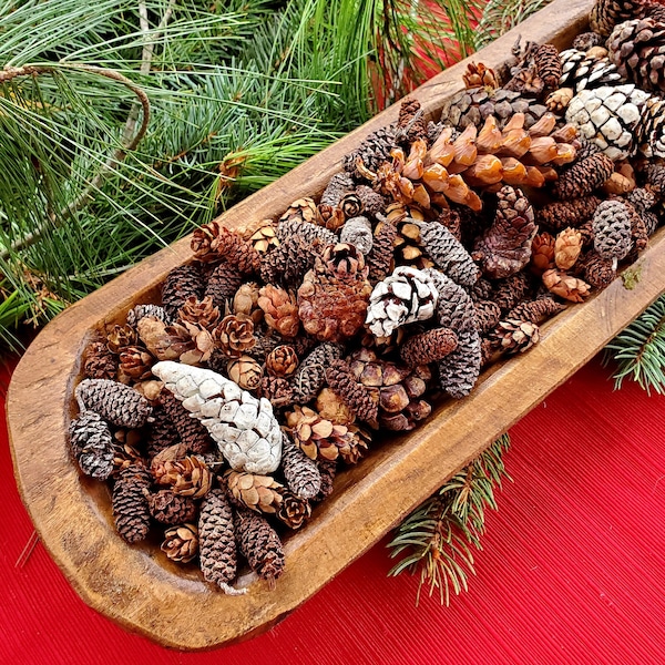 Pine Cone Medley - Frosted Pine Cone Potpourri ~ Available Scented/Unscented. 8 Cup Bag
