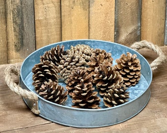 Natural Pinecones in Assorted Sizes - Available Unscented or Cinnamon Scented in 12 ct & 20 ct Bags |  Botanicals | Potpourri and Crafting