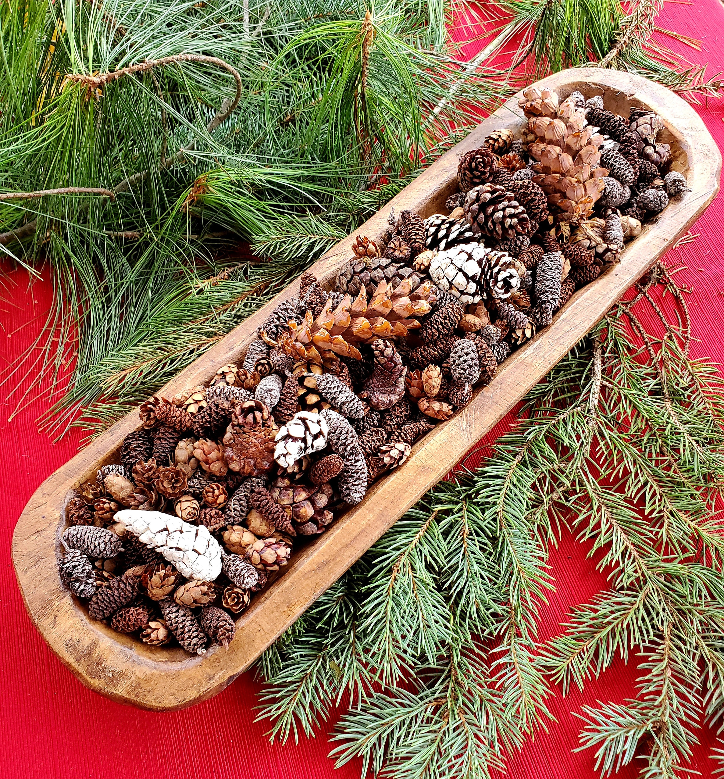 Pine Cone Medley Frosted Pine Cone Potpourri Available Scented/unscented. 8  Cup Bag 