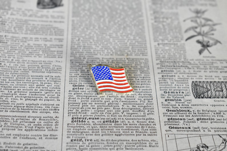 American Flag Pin USA United States of America