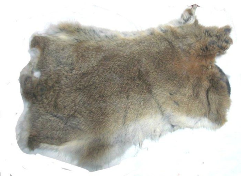 Huge Rabbit Pelt Skin 19