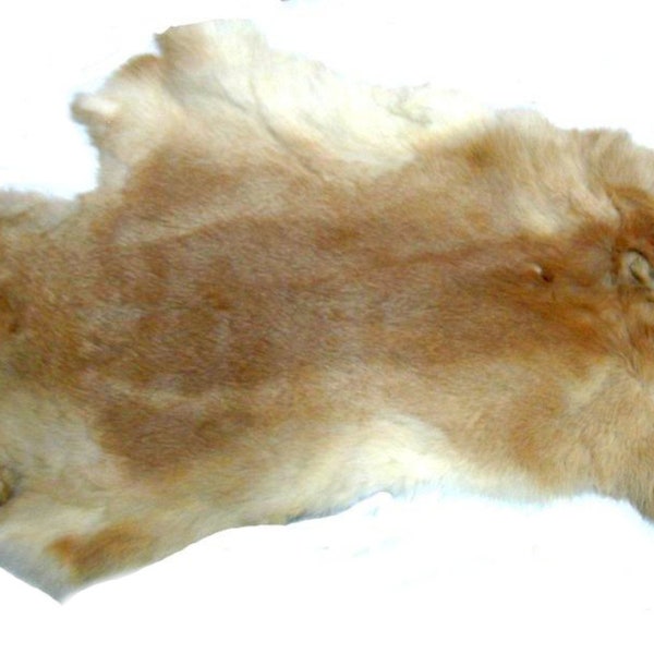 Huge Rabbit Pelt Skin 19"/16" Natural Rex Thick and Soft Tanned Taxidermy Brown Tan Ginger