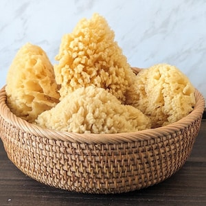 natural sea sponge / eco-friendly / zero waste / biodegradable / sponge for shower / body wash / plant-based / clean beauty