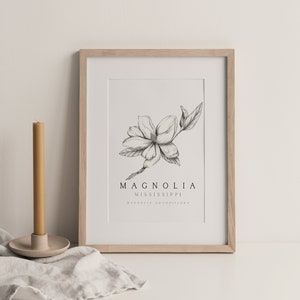 手描きのマグノリア、マグノリアの花の州版画、州の花の版画、マグノリア、マグノリアの版画、花の版画、ミシシッピ州の芸術、ミシシッピ州