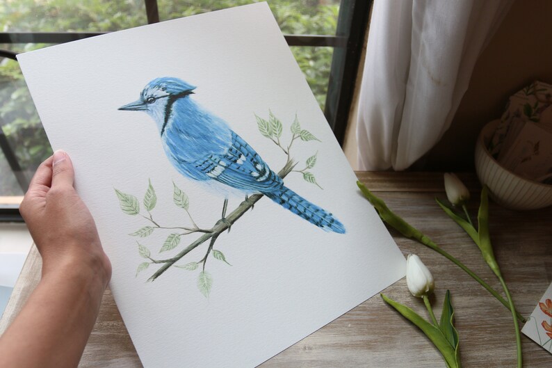 Blue Jay Blue Jay Print Blue Jay Wall Art Blue Jays Blue Etsy