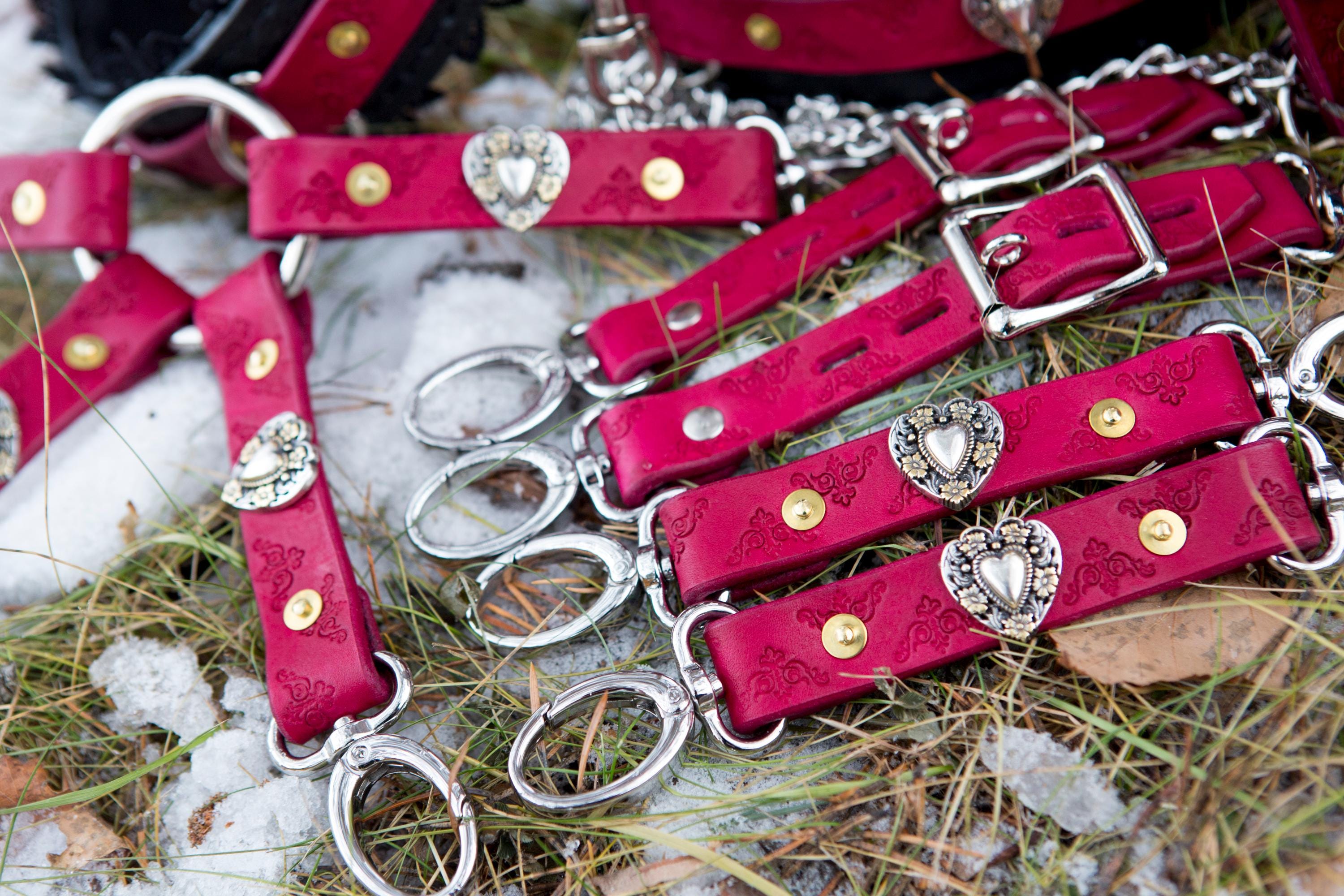 BDSM 16 Piece Complete Set / Victorian BDSM Set / Steampunk Set