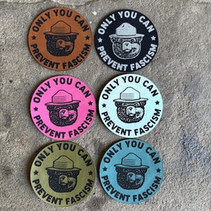 Only You Can Prevent Fascism Patch: Vegan Iron-On Resist Bear