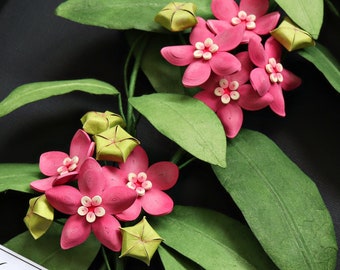 Pink Hoya Wall Art - Tropical Flowers Decor - 3D Paper Art - Florals On Black Background - Paper Anniversary - Botanical Art - Gift for Her