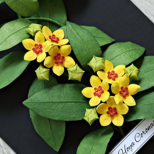 Tropical Wall Art Hoya Plant Yellow Flowers on Black Background Wax Plant 3D Paper Art House Plant Lover Gift Paper Anniversary image 1