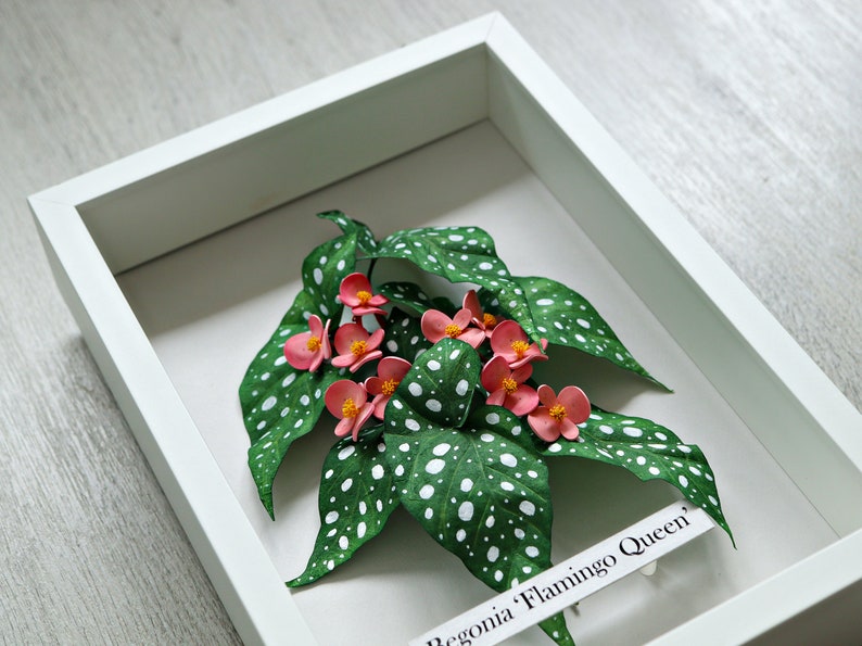 Pink Begonia Wall Art Begonia Maculata Illustration Tropical Decor Botanical Art 3D Paper Art Pink Flowers Anniversary Gift image 10