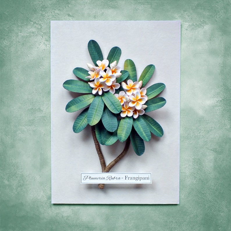 Plumeria Frangipani Wall Art Tropical Leaves Exotic Flowers Botanical Art White Green Tropical Decor 3D Paper Quilling Gift for Mum image 6