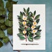 see more listings in the Botanical Illustrations section