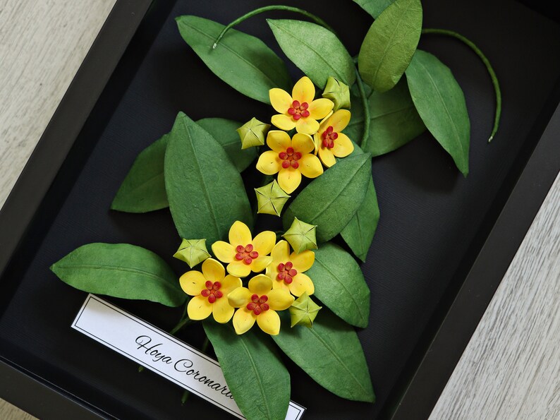 Tropical Wall Art Hoya Plant Yellow Flowers on Black Background Wax Plant 3D Paper Art House Plant Lover Gift Paper Anniversary image 6