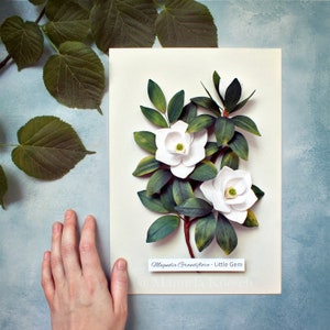 White Magnolia Flowers Botanical Illustration Wall Art White Green Decor Mother's Day Gift Paper Wedding Anniversary Gift for Her image 1