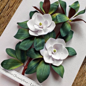 White Magnolia Flowers Botanical Illustration Wall Art White Green Decor Mother's Day Gift Paper Wedding Anniversary Gift for Her image 6