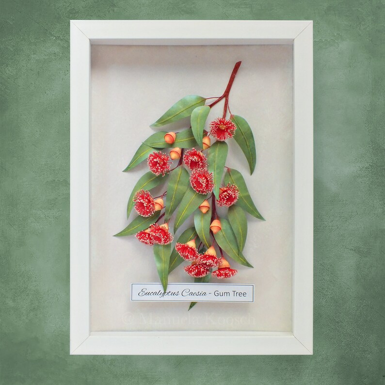 Eucalyptus Gum Tree Wall Art Red Flowering Gumtree Branch Artwork