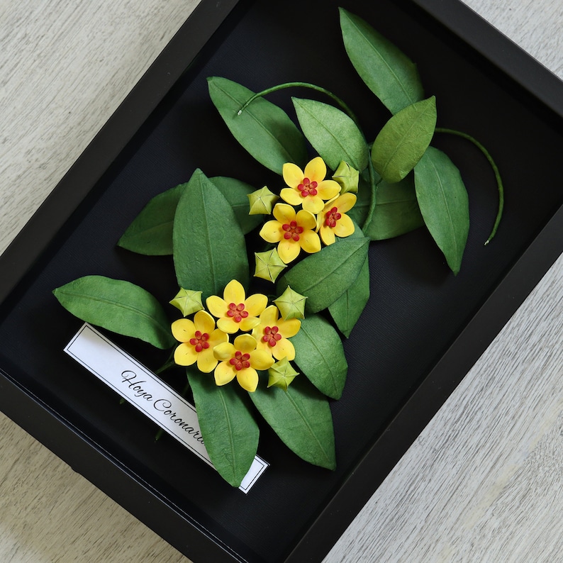 Tropical Wall Art Hoya Plant Yellow Flowers on Black Background Wax Plant 3D Paper Art House Plant Lover Gift Paper Anniversary image 9