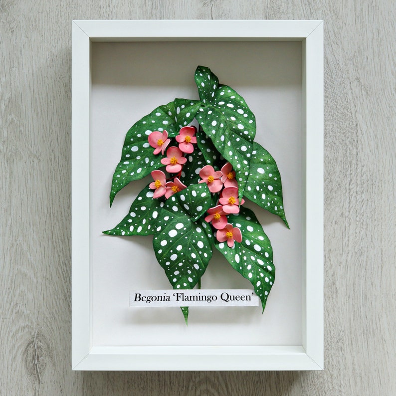 Pink Begonia Wall Art Begonia Maculata Illustration Tropical Decor Botanical Art 3D Paper Art Pink Flowers Anniversary Gift image 2