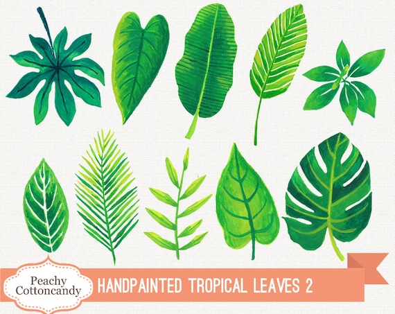 Download Free Buy 2 Get 1 Free Hand Painted Tropical Leaves Clip Art 2 Etsy SVG Cut Files