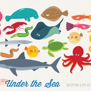 Sea Animal Clipart: Under the Sea Graphics (PNG, EPS)
