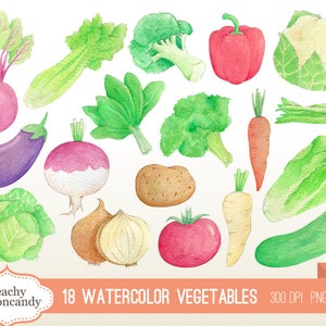 BUY 4 GET 50% OFF Watercolor Vegetables Clip Art - water color vegetable clipart - watercolour healthy food illustration - Commercial Use Ok