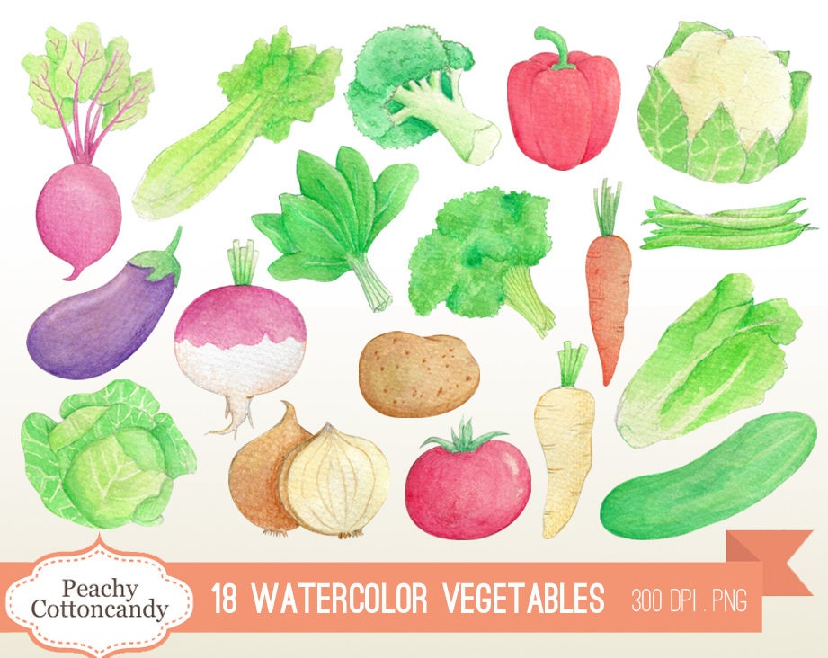 BUY 4 GET 50% OFF Watercolor Vegetables Clip Art Water Color - Etsy Canada