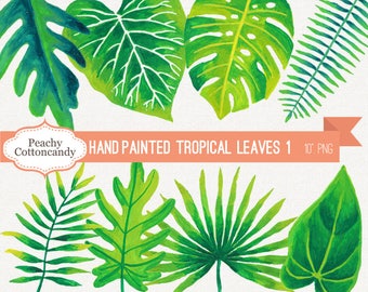 BUY 4 GET 50% OFF Hand Painted Tropical Leaves Clip Art 1 - watercolor tropical leaf clipart - monstera palm illustration -Commercial Use Ok