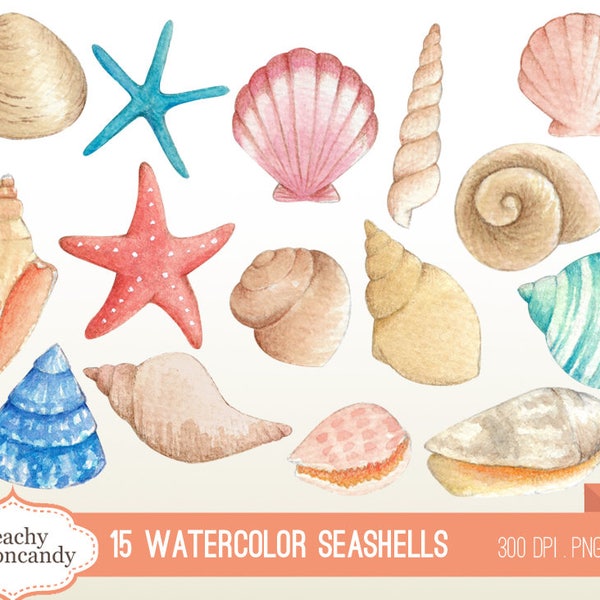 BUY 4 GET 50% OFF Watercolor Seashells Clip Art - seashell summer clipart beach clipart - nautical clipart - shell png - Commercial Use Ok