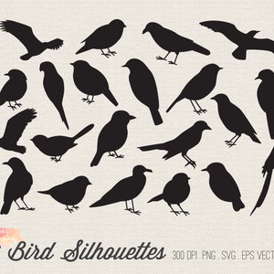 COMPRE 4 GANHE 50% OFF 21 Bird Silhouettes Clipart - clipart de silhueta de pássaro - clip art de pássaro - vetor de pássaro - clipart de pássaro svg -Uso comercial Ok