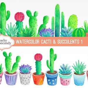 COMPRE 4 GANHE 50% DE DESCONTO Aquarela Cactus Clipart 1 - clip art de cacto - clip art suculento - ilustração de cacto aquarela - Uso comercial Ok