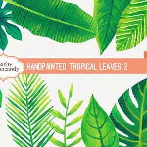COMPRE 4 GANHE 50% OFF Folhas tropicais pintadas à mão Clip Art 2 - clipart de folhas em aquarela - palmeira monstera sansiviera banana - Uso comercial Ok