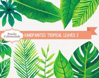 Hand-Painted Tropical Leaf Clipart: Watercolor Palm, Monstera (Digital Download)