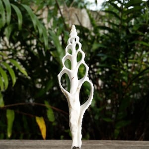 Sea Shell Lamp Finial, Tall Off White Spindle