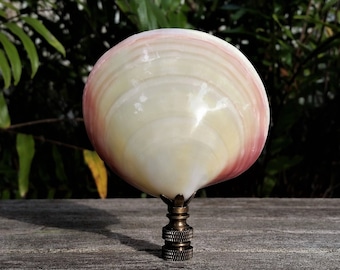 Large Sea Shell Lamp Finial, Pink Pearl