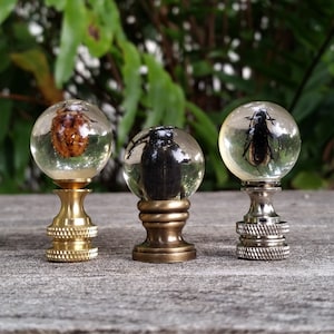 Insect Lamp Finial