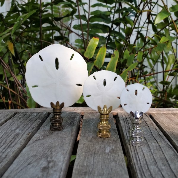Sand Dollar Lamp Finial, Various Sizes