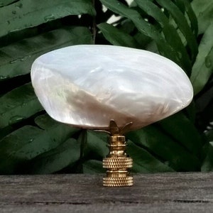 Puede incluir: Un embellecedor de lámpara de nácar blanco con base dorada. El embellecedor tiene forma de concha y es un acento decorativo para una lámpara.