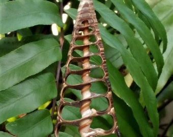 Sea Shell Lamp Finial, Large Brown Center Cut