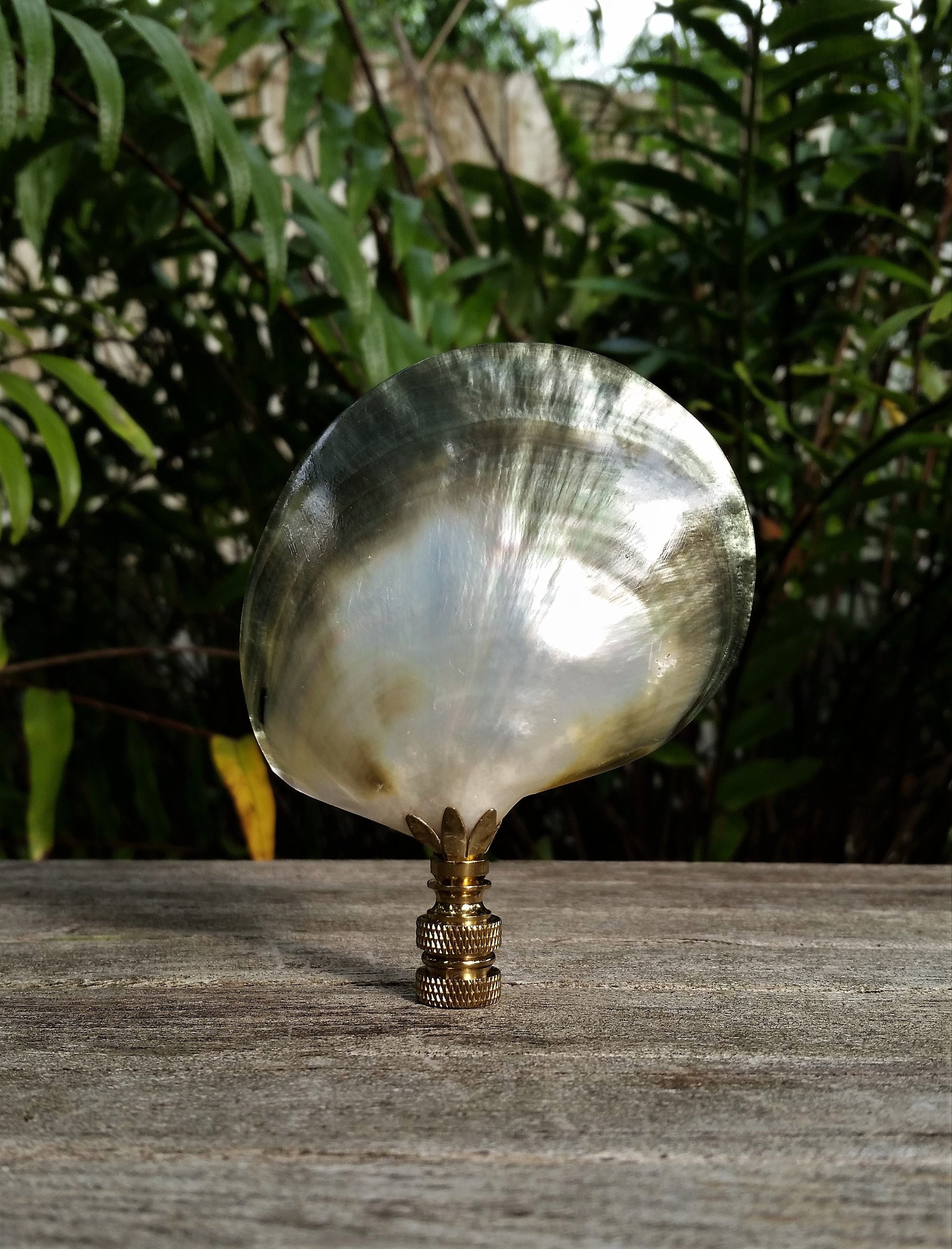 Shell Lamp Finial, Large Black and Pearl Iridescent