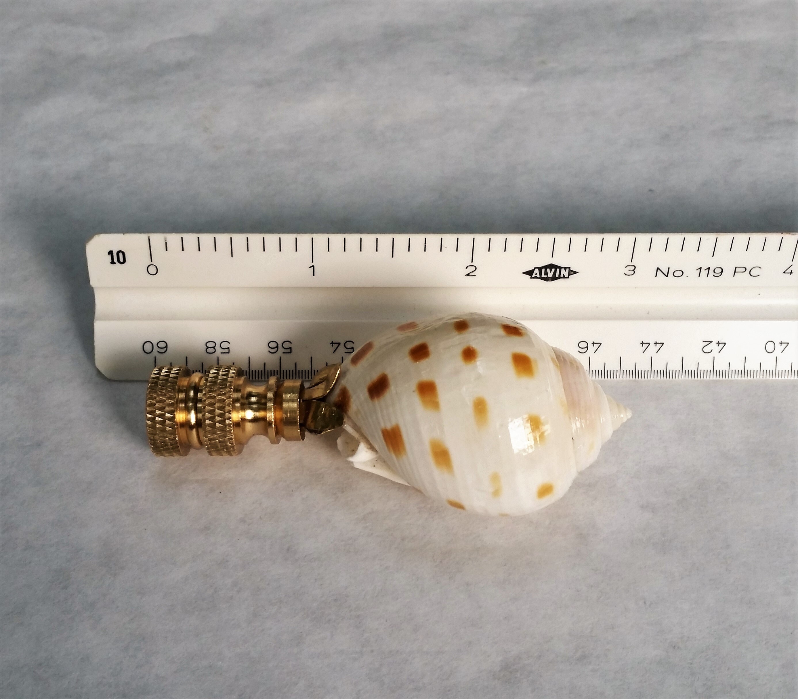 Sea Shell Lamp Finial, Off White Brown Specks